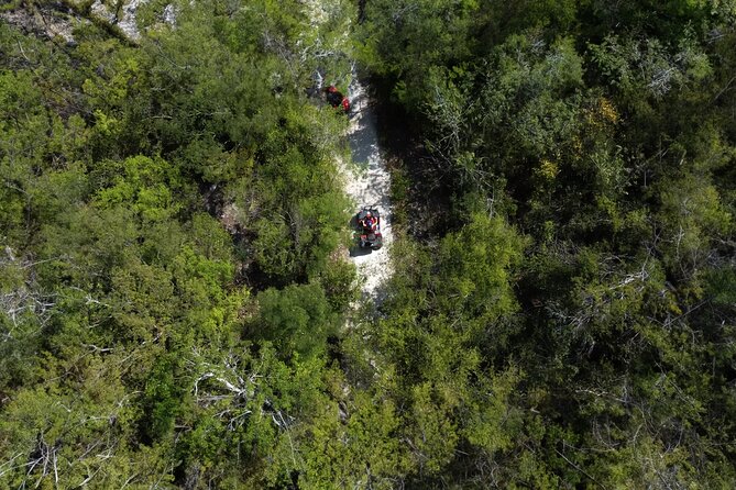 Cozumel ATV Jungle Small Group Guided Ride - What the Cozumel Jungle Ride Is Really Like