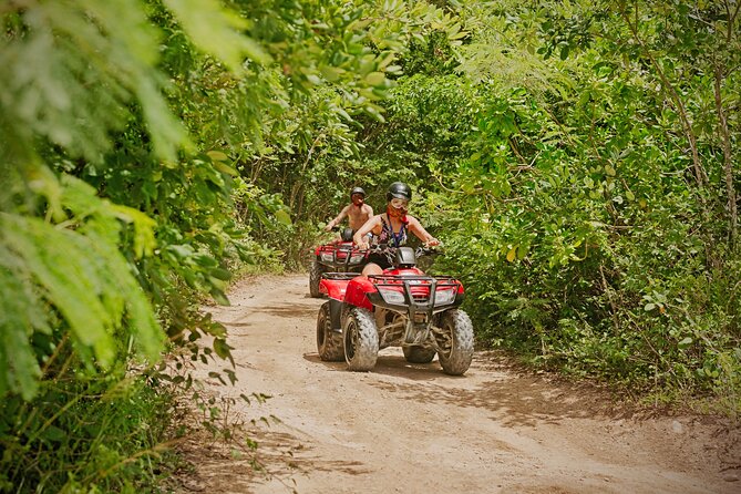 Cozumel ATV Jungle Small Group Guided Ride - Cenotes, Water Breaks, and Short Stops