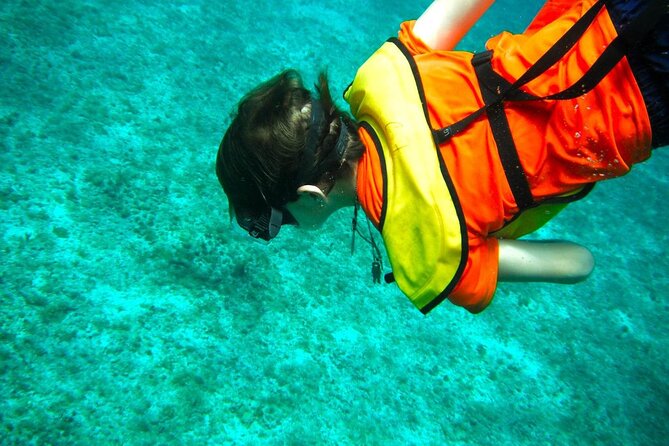 Cozumel Buggy Tour: Snorkeling , Otoch Mayan Experience & Lunch - San Martin Beach and the included lunch