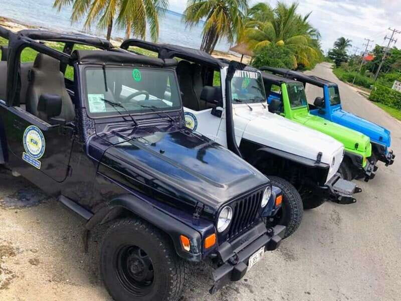Cozumel: Classic Jeep or Buggy Island Tour to Punta Sur - Key points to know before booking