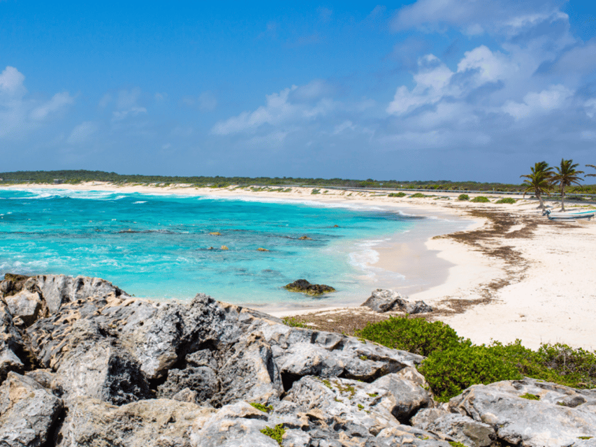 Cozumel: Classic Jeep or Buggy Island Tour to Punta Sur - Timing, comfort, and practical limits