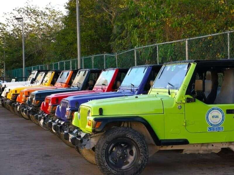 Cozumel: Classic Jeep or Buggy Island Tour to Punta Sur - San Miguel pickup and the ride south