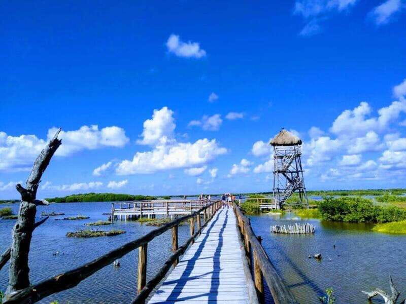 Cozumel: Classic Jeep or Buggy Island Tour to Punta Sur - Shore snorkeling at Punta Sur Beach