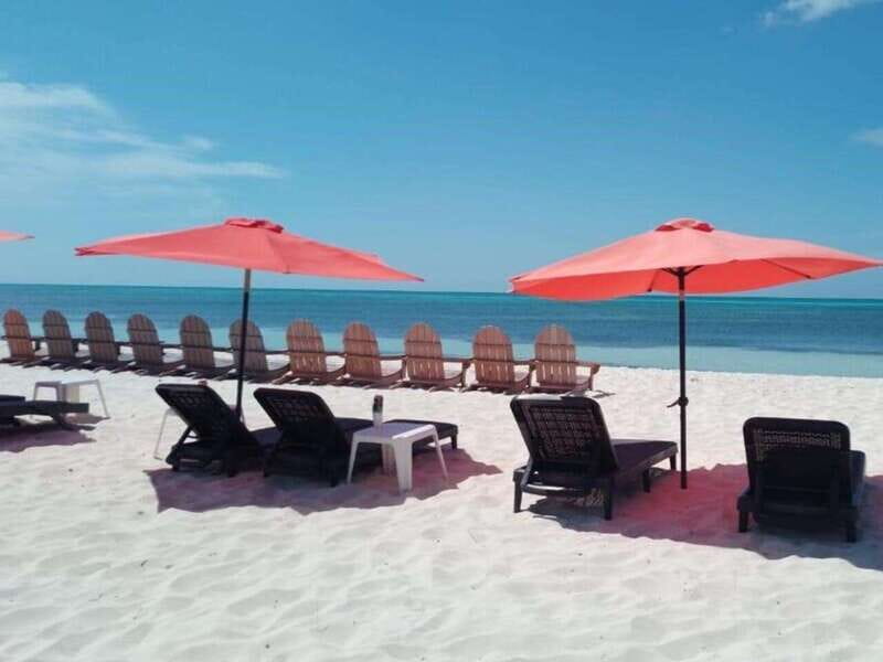 Cozumel: Classic Jeep or Buggy Island Tour to Punta Sur - Lunch, loungers, and the beach club