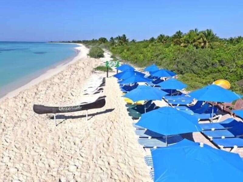 Cozumel: Classic Jeep or Buggy Island Tour to Punta Sur - What the $119 price really covers
