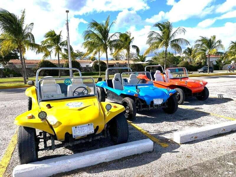 Cozumel: Classic Jeep or Buggy Island Tour to Punta Sur - Choosing between the Jeep and buggy