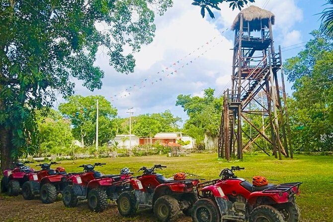 Cozumel Jungle ATV Adventure and Unlimited Beach Break - Who will enjoy this Cozumel combination tour?