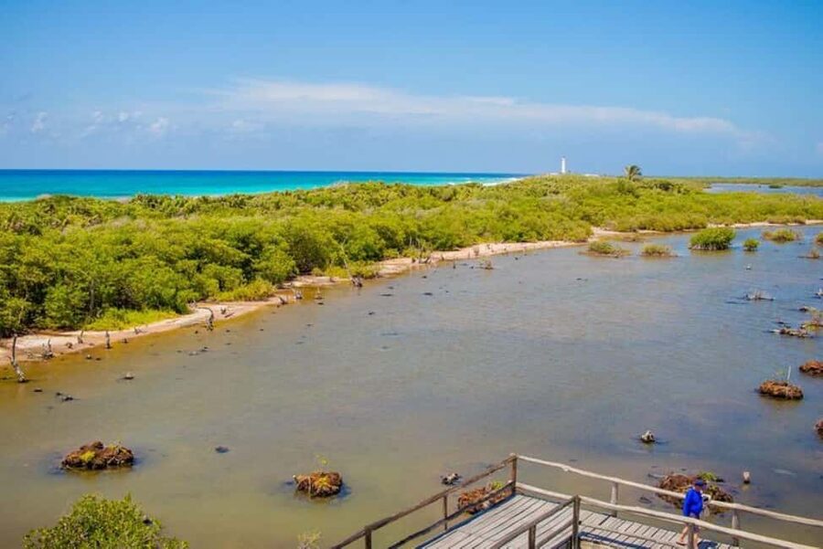 Cozumel: Private Buggy Tour to Punta Sur Park All Inclusive - Key points to know before booking