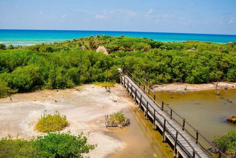 Cozumel: Private Buggy Tour to Punta Sur Park All Inclusive - Taking the wheel through Punta Sur Park