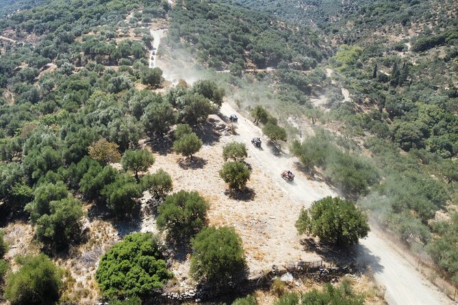Crete 5-Hour Quad Safari Experience - Vasilakis olive factory near Neapoli