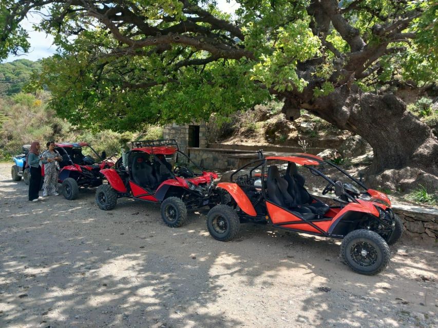 Crete buggy safari - Mountain roads, gorges, and wild goats at 700 metres