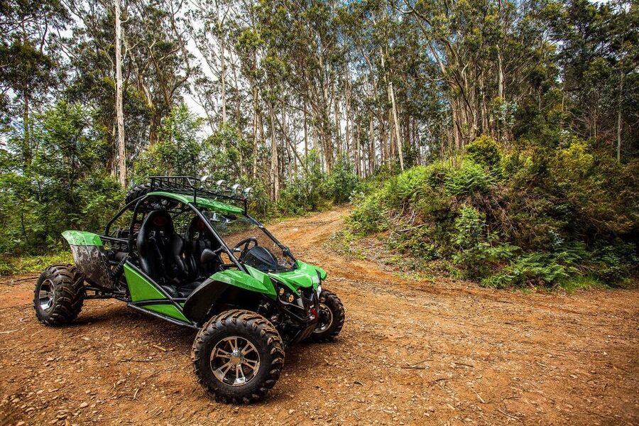 Crete buggy safari - Vasilakis Estate and the taste of Cretan olive oil