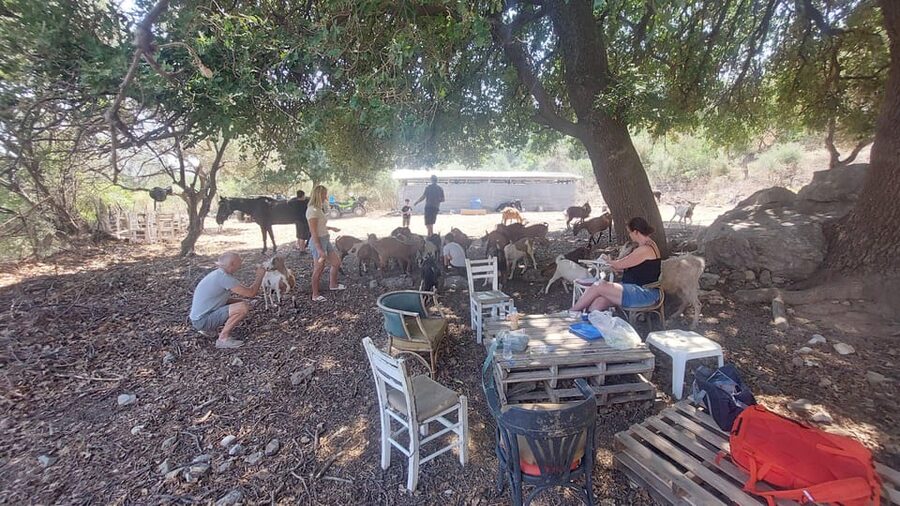 CRETE :MALIA HERSSONISOS QUADS ECOTOUR ADVENTURE - HIGH PERF - Milatos, coastal views, and the olive oil stop