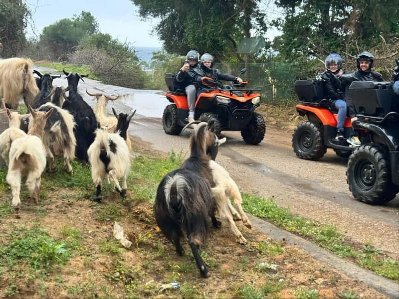 Crete: Quad Safari with Traditional Hidden Villages & Nature - Starting at ELA Quad Safari in Agia Pelagia