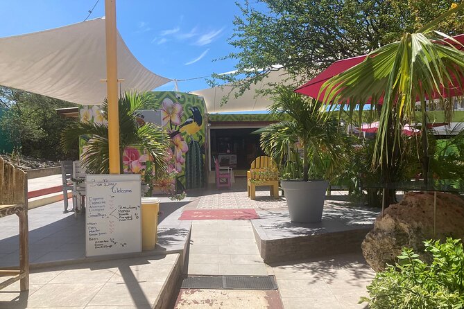 Curacao Half Day ATV East Adventure Tour - Ocean views, Playa Kanoa Beach, and the northern coast