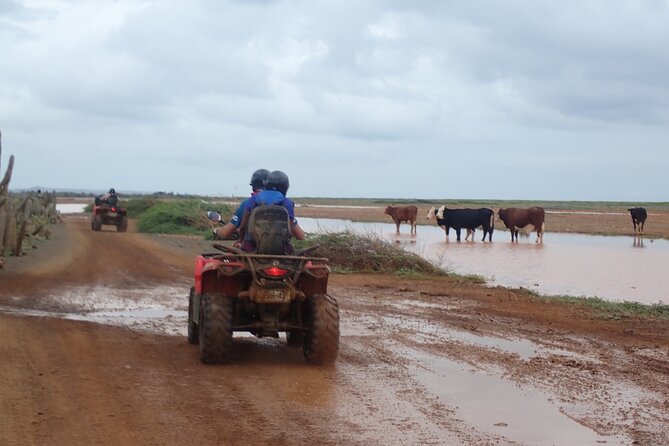 Curacao Half Day ATV East Adventure Tour - Morning versus afternoon departure