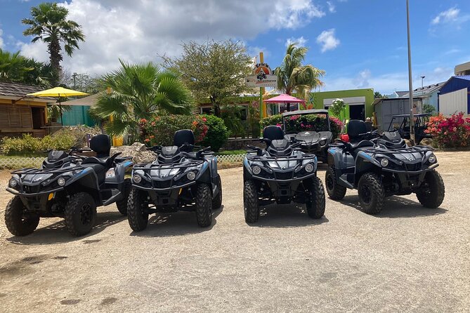 Curacao Half Day or Full Day ATV West Adventure Tour - Turtle Bay, Boka Patrick, and a swim