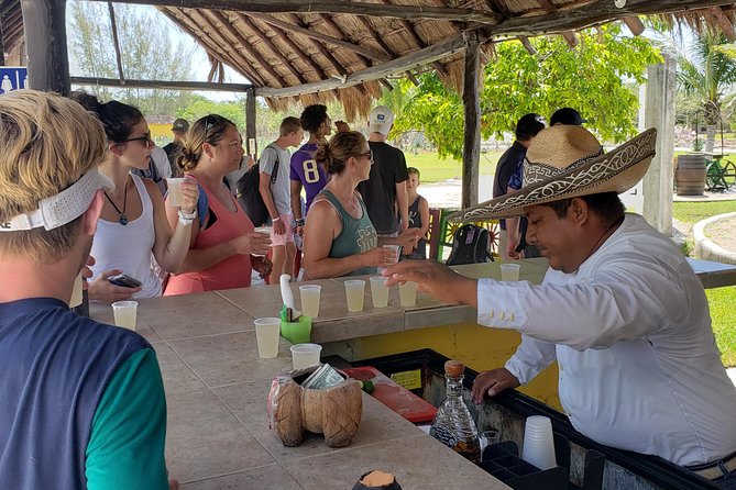 Customizable Private Buggy Tour in Cozumel with Lunch and Snorkel - San Martin, turtle nests, and a cold drink