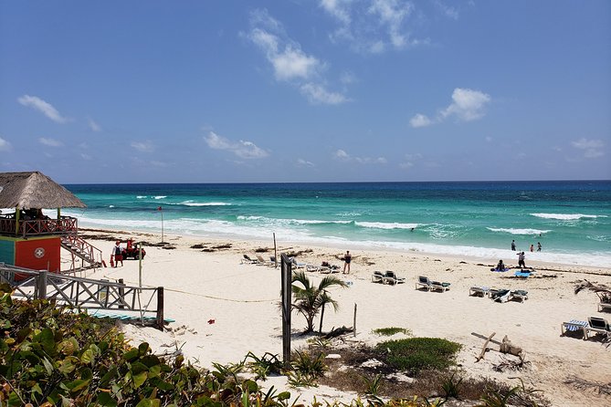 Customizable Private Buggy Tour in Cozumel with Lunch and Snorkel - El Mirador and the best photo stop