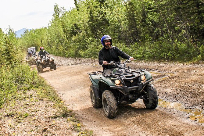 Denali ATV Trailblazer 3.5 Hour Tour - Choosing Between a Single ATV and a Side-by-Side