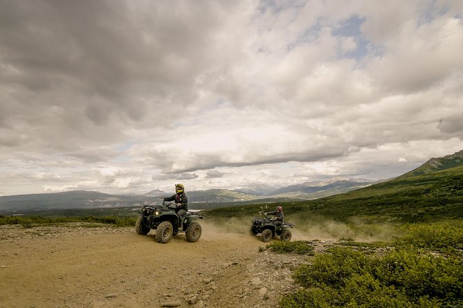 Denali ATV Trailblazer 3.5 Hour Tour - The Forest Trails and First Miles