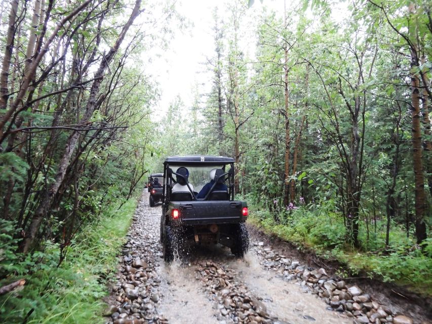 Denali: ATV Trailblazer Tour - Fireweed Tea and Simple Wilderness Skills