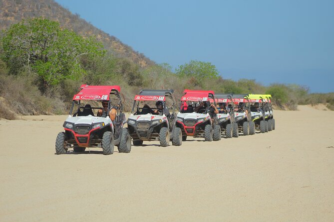Desert and Beach UTV Adventure with Tequila Tasting - From Baja cactus country to Migriño Beach