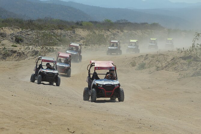 Desert and Beach UTV Adventure with Tequila Tasting - Who will enjoy this Cabo activity most