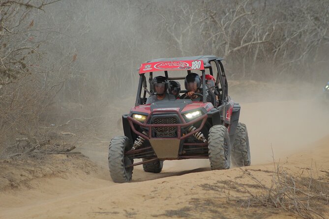 Desert and Beach UTV Adventure with Tequila Tasting - Timing, weather, and cancellation