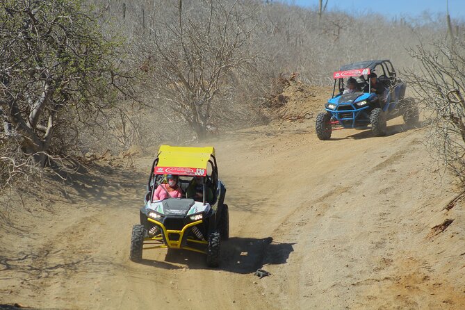 Desert and Beach UTV Adventure with Tequila Tasting - The tequila tasting at the end