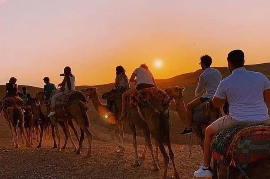Desert & Beach Quad Adventure With Camel Ride - Quick takeaways for your Agadir adventure