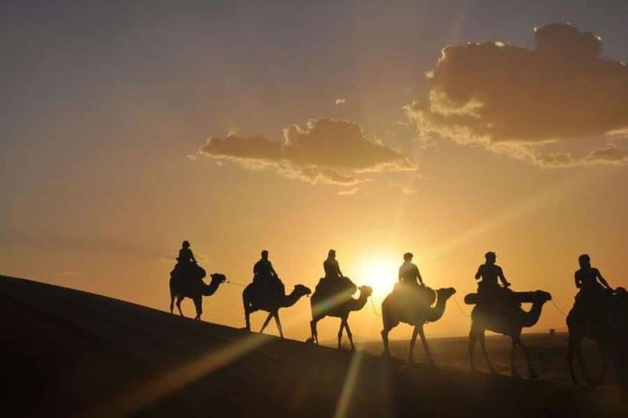 Desert & Beach Quad Adventure With Camel Ride - Why this five-hour trip works so well