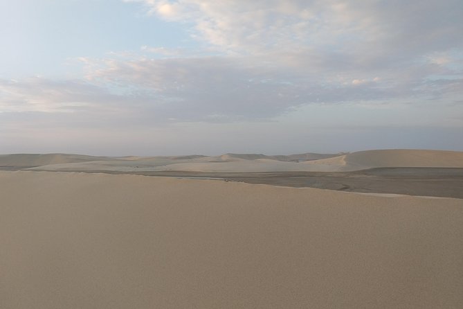 Desert Combo safari, Camel ride, Quad Bike and Dune Bashing(ALL INCLUSIVE) - What this Doha desert safari actually includes