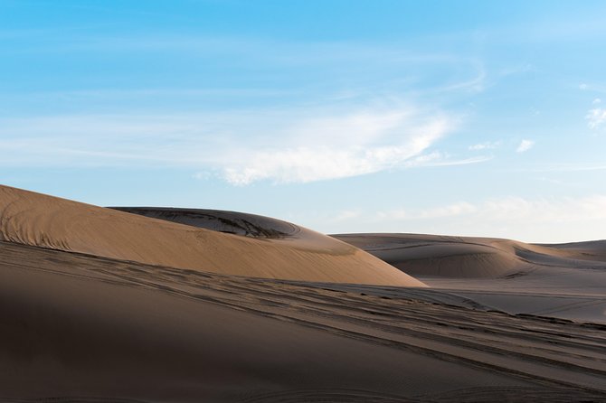 Desert Combo safari, Camel ride, Quad Bike and Dune Bashing(ALL INCLUSIVE) - The camel ride is short, traditional, and touristy