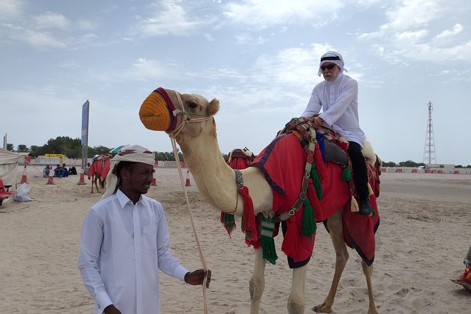 Desert Combo safari, Camel ride, Quad Bike and Dune Bashing(ALL INCLUSIVE) - Guide quality shapes the day
