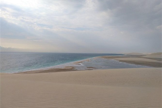 Desert Combo safari, Camel ride, Quad Bike and Dune Bashing(ALL INCLUSIVE) - Is $100 a fair price?