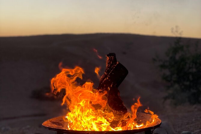 Desert Full Day: Quad, Camel, Dinner & Show or Pool Day and Lunch - Choose the right schedule before you pay