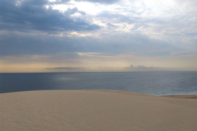 Desert safari, Dune bashing, sandboarding, camel, ATV Option - Leaving Doha in an air-conditioned 4x4