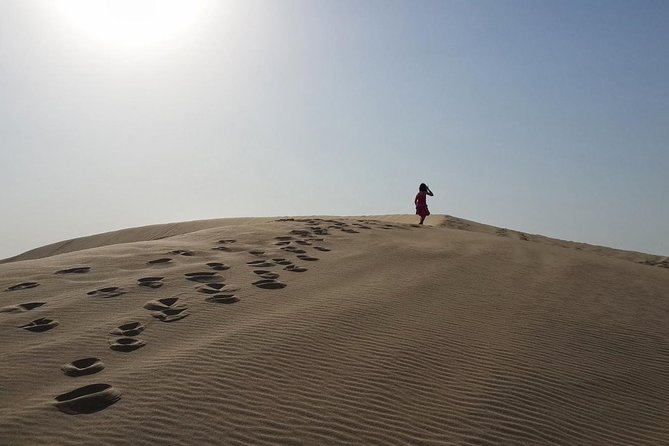 Desert safari, Dune bashing, sandboarding, camel, ATV Option - Dune bashing brings the real adrenaline