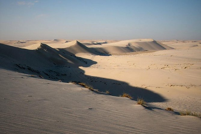 Desert safari, Dune bashing, sandboarding, camel, ATV Option - Sandboarding is simple, active, and worth trying