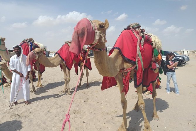 Desert safari, Dune bashing, sandboarding, camel, ATV Option - Khor Al Adaid is the best photo stop