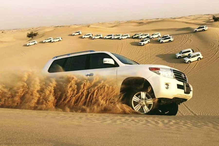 Desert Safari, Quad Bike, Camel Ride, Falcon & Sandboarding - A full afternoon beyond Doha