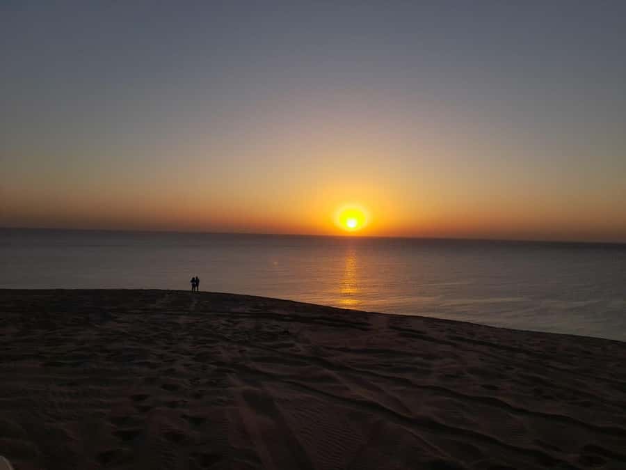 Desert Safari, Quad Bike, Camel Ride, Falcon & Sandboarding - Practical advice before you go