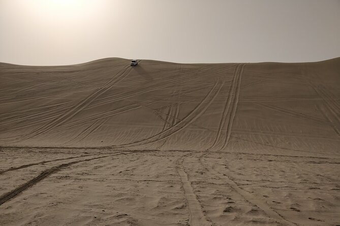 Desert Safari, Quad Bike, Sandboarding and Camel Ride - Guides make a real difference