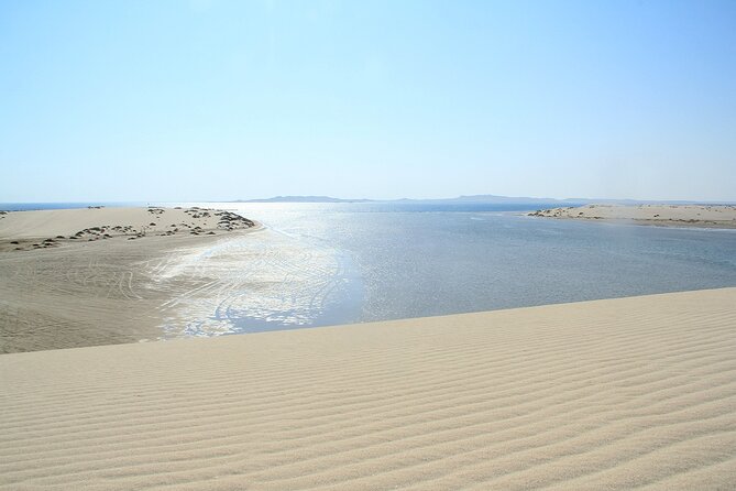 Desert Safari, Quad Bike, Sandboarding and Camel Ride - Is $100 a fair price?