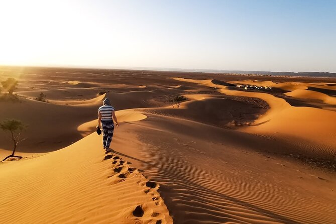 Desert Safari With BBQ Dinner, Quad Ride And And Sand-boarding - Sandboarding, camel rides, and falcon photos