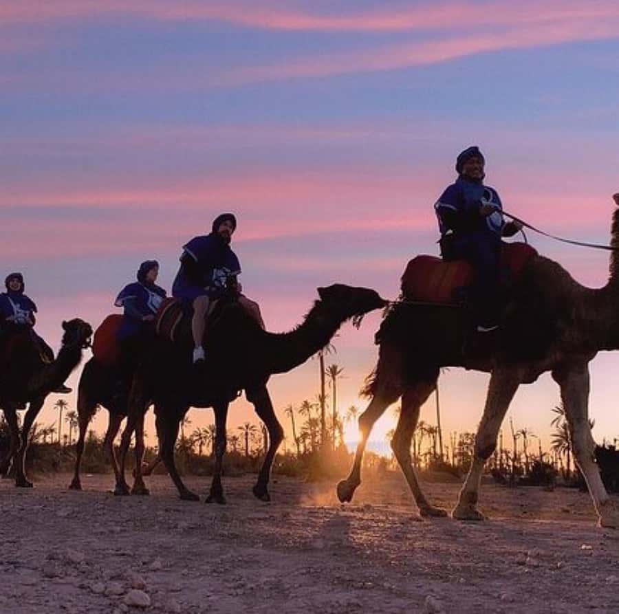 Dinner show in agafay Desert 1h quad bike & 20 min camels - Key points at a glance