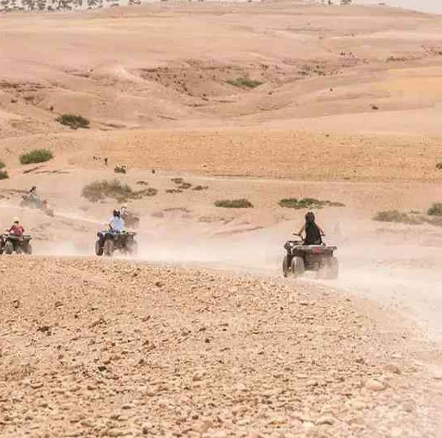 Dinner show in agafay Desert 1h quad bike & 20 min camels - Who should book this Agafay experience?