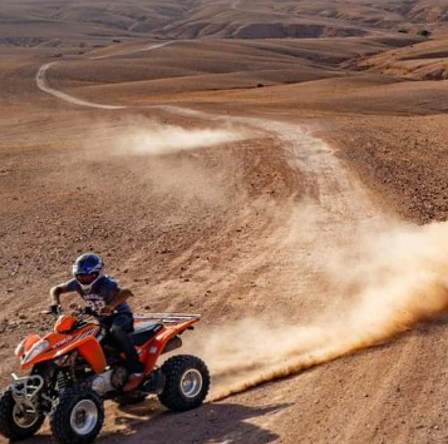 Dinner show in agafay Desert 1h quad bike & 20 min camels - A short camel ride at sunset