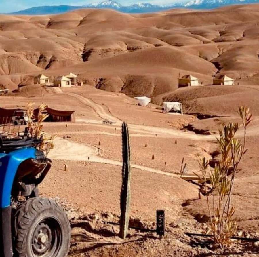 Dinner show in agafay Desert 1h quad bike & 20 min camels - Mint tea, the pool, and the camp setting